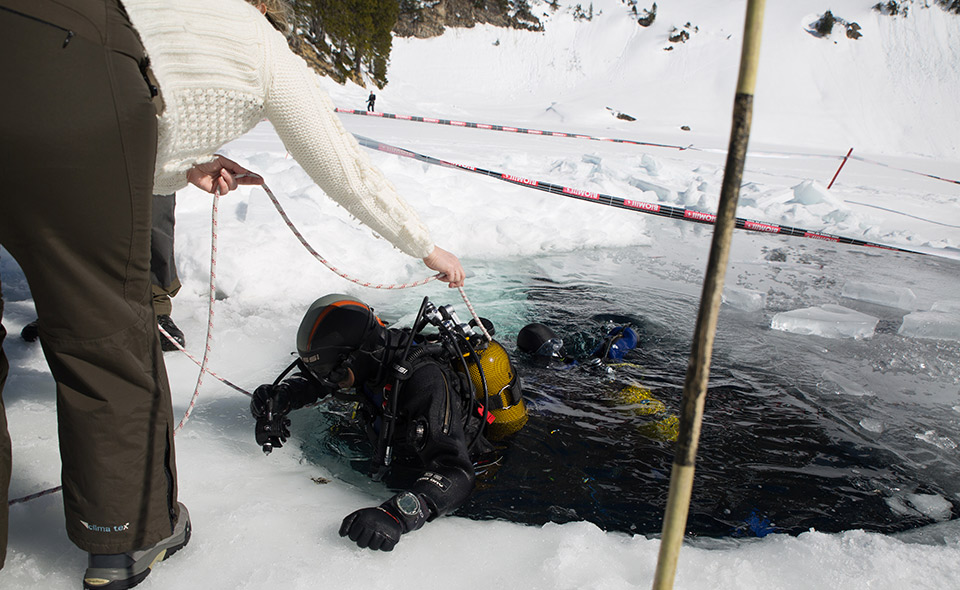 Plongée sous glace suisse deep turtle